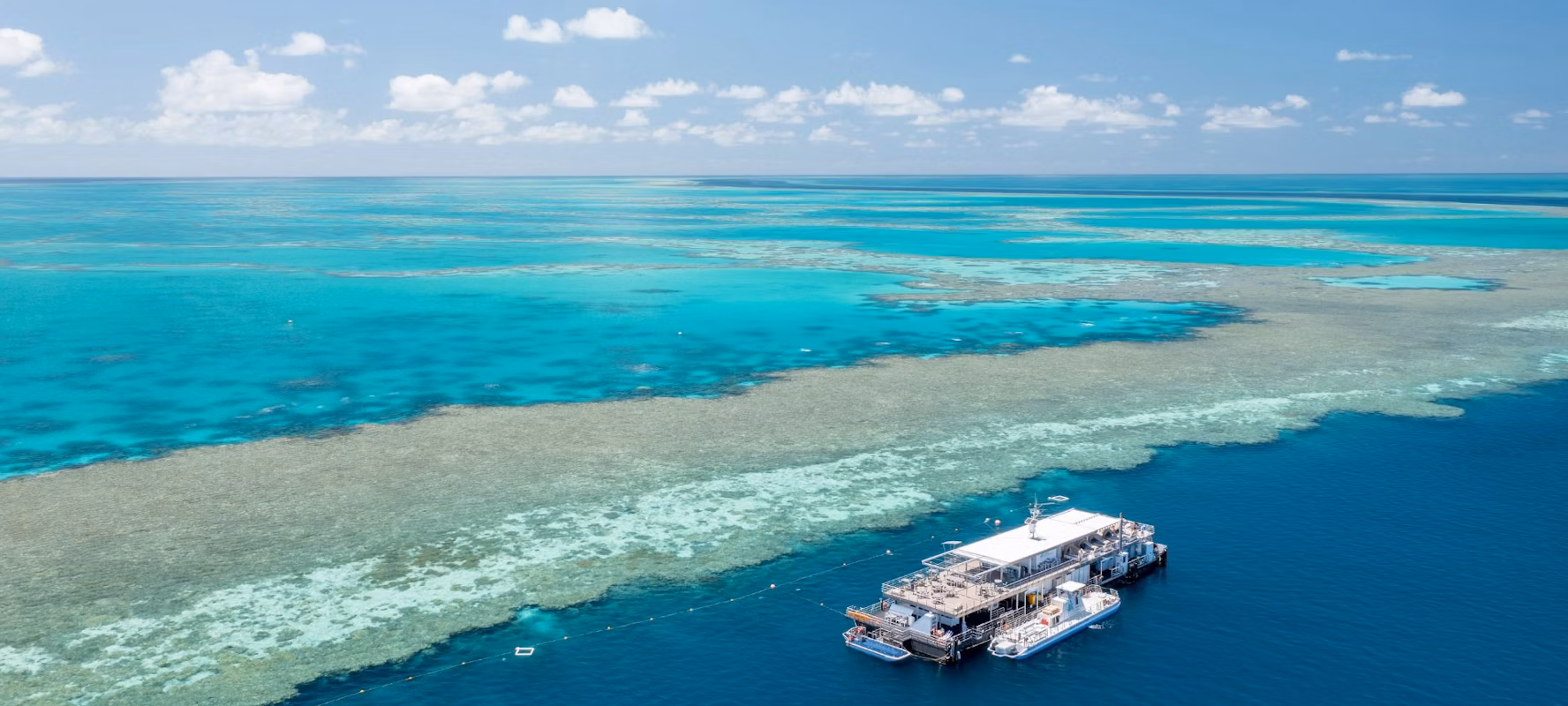 Cruise Whitsundays ReefSuites 2 Cruise Whitsundays ReefSuites - Image 2