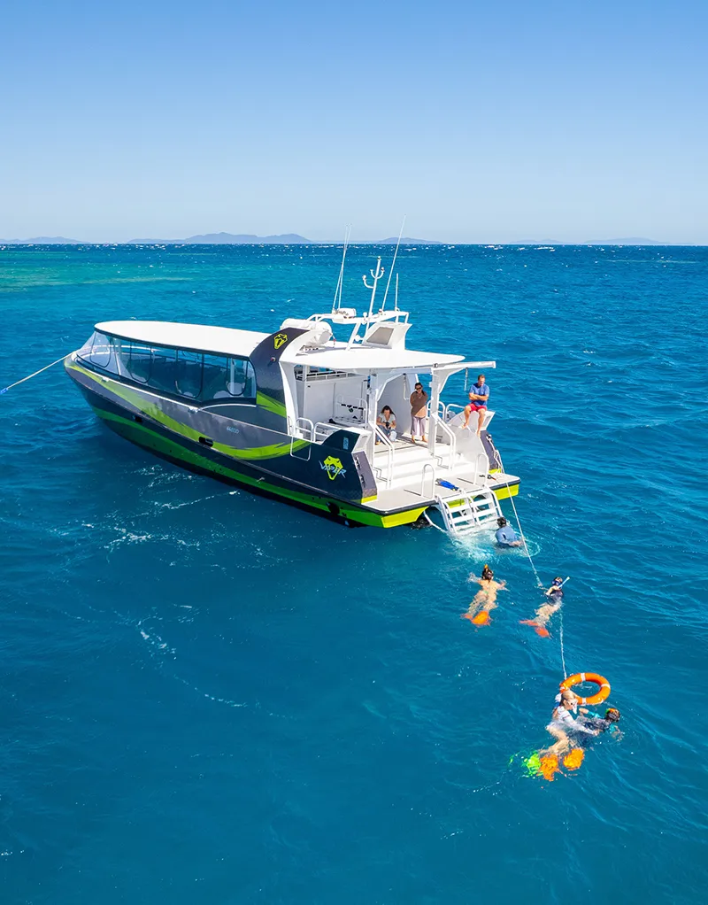 Viper Outer Great Barrier Reef and Whitehaven Day Tour 4 Viper Outer Great Barrier Reef and Whitehaven Day Tour - Image 4