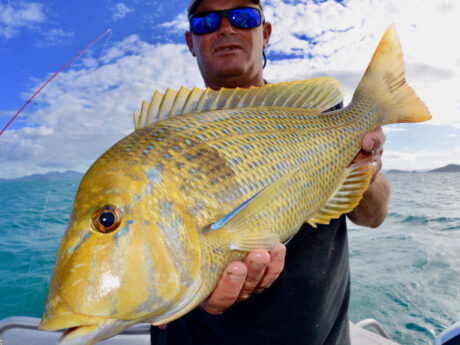 Home 9 Airlie Beach Fishing Charters