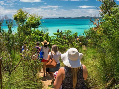 Quick Trips 5 Whitehaven and Hill Inlet Chill and Grill