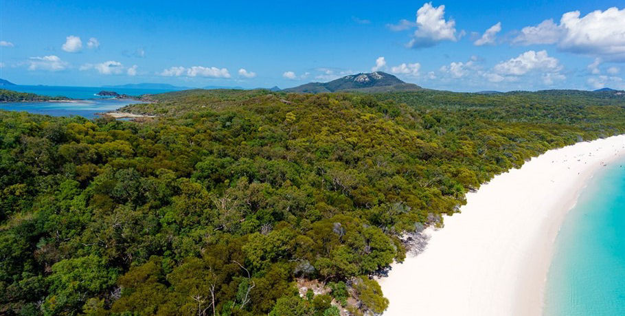 Cruise Whitsundays Whitehaven Beach Half Day Tour 9 Cruise Whitsundays Whitehaven Beach Half Day Tour - Image 9