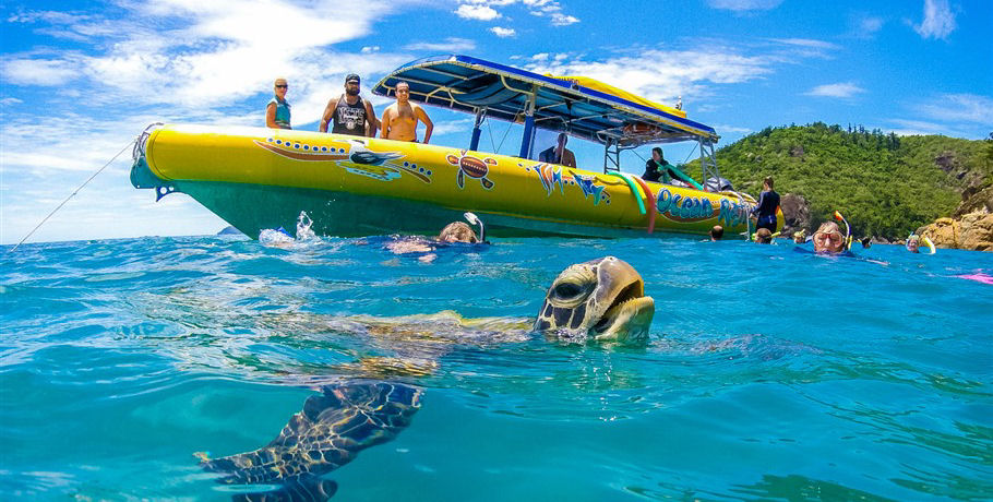 Ocean Rafting Fly Raft Packages 14 ocean-rafting-fly-raft-package-ocean-rafting-snorkelling-with-turtles