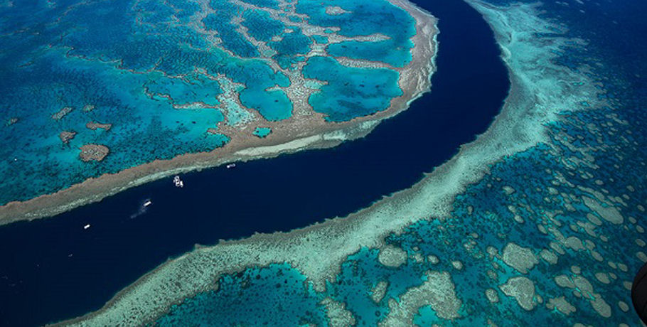 GSL Whitsundays Reef & Island Scenic Flight 9 GSL Whitsundays Reef & Island Scenic Flight - Image 9