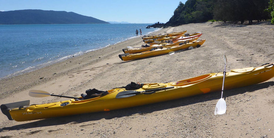 Salty Dog Sea Kayaking - Full Day Island and Snorkel Tour 7 Salty Dog Sea Kayaking - Full Day Island and Snorkel Tour - Image 7