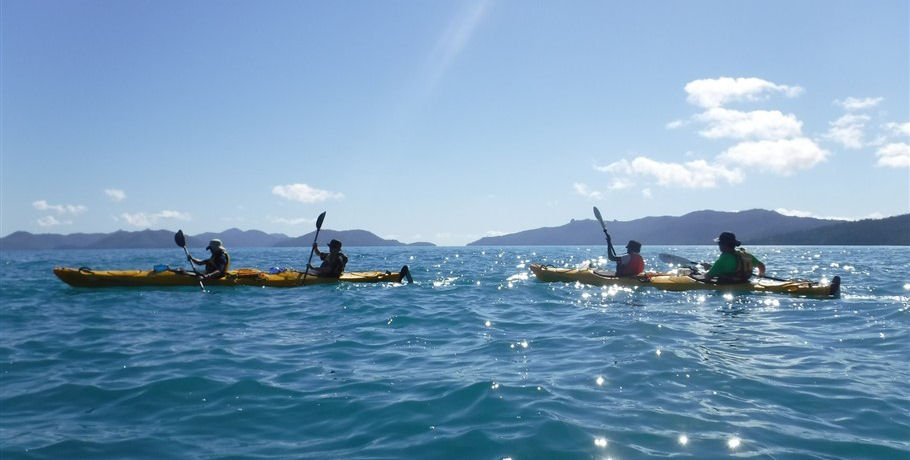 Salty Dog Sea Kayaking - Full Day Island and Snorkel Tour 4 Salty Dog Sea Kayaking - Full Day Island and Snorkel Tour - Image 4
