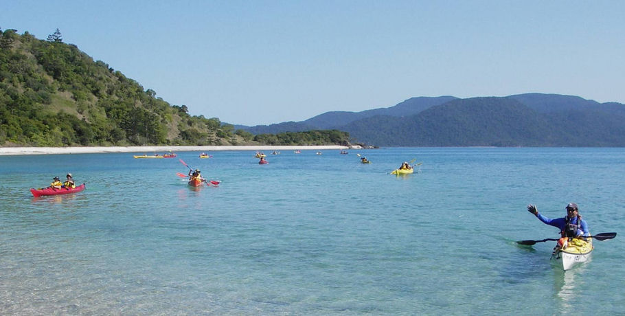 Salty Dog Sea Kayaking - Full Day Island and Snorkel Tour 5 Salty Dog Sea Kayaking - Full Day Island and Snorkel Tour - Image 5