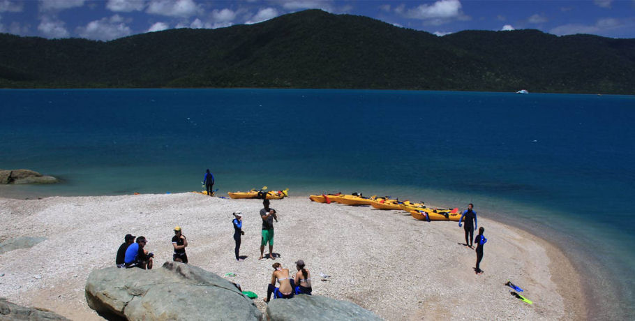 Salty Dog Sea Kayaking - Half Day Kayak and Turtle Tour 4 Salty Dog Sea Kayaking - Half Day Kayak and Turtle Tour - Image 4