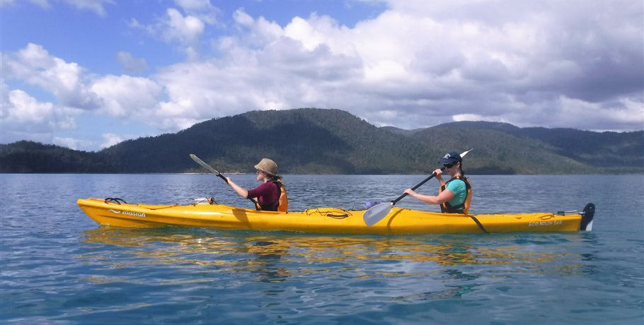 Salty Dog Sea Kayaking - Half Day Kayak and Turtle Tour 8 Salty Dog Sea Kayaking - Half Day Kayak and Turtle Tour - Image 8