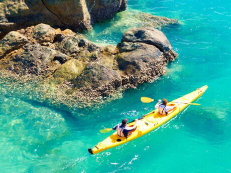 Salty Dog Sea Kayaking