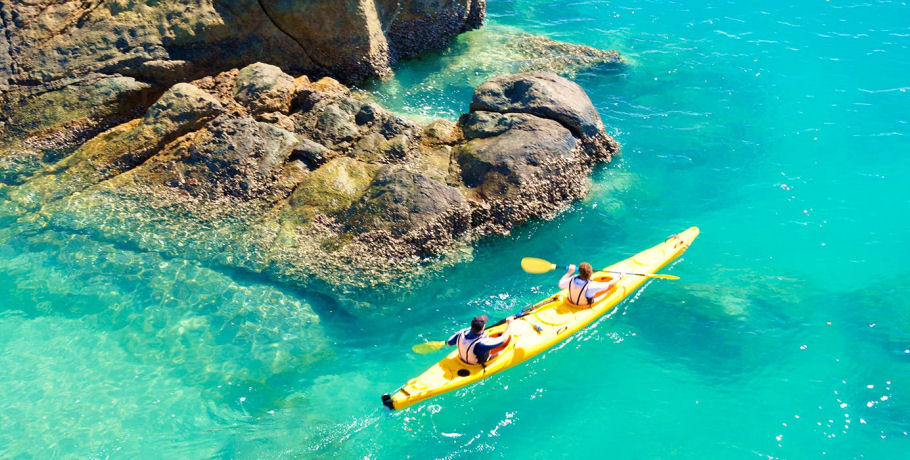 Salty Dog Sea Kayaking - Half Day Kayak and Turtle Tour 1 Salty Dog Sea Kayaking