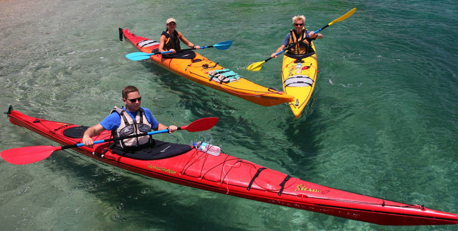 Salty Dog Sea Kayaking - Half Day Kayak and Turtle Tour 10 Salty Dog Sea Kayaking - Half Day Kayak and Turtle Tour - Image 10