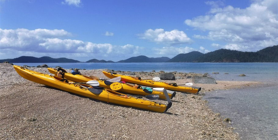 Salty Dog Sea Kayaking - Half Day Kayak and Turtle Tour 14 Salty Dog Sea Kayaking - Half Day Kayak and Turtle Tour - Image 14