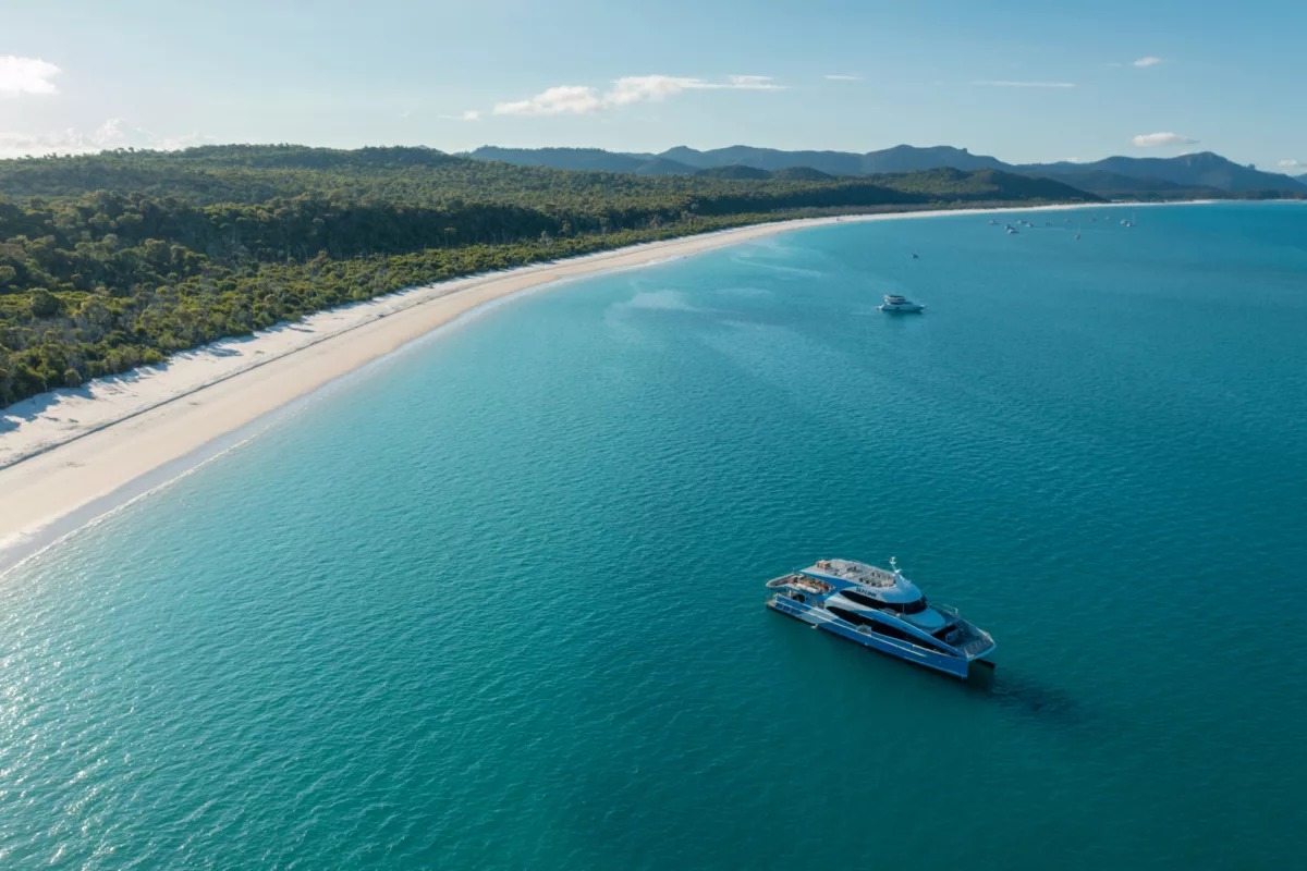 SeaLink - Whitehaven Beach Day Tour 13 SeaLink - Whitehaven Beach Day Tour - Image 13